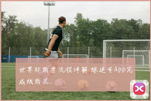 世界杯购票流程详解 球迷可App完成线购买