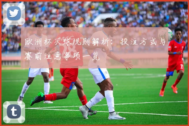 欧洲杯买球规则解析:投注方式与赛前注意事项一览