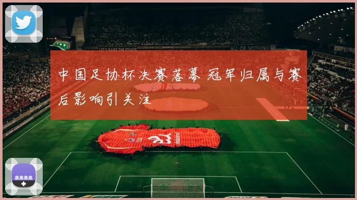 中国足协杯决赛落幕 冠军归属与赛后影响引关注