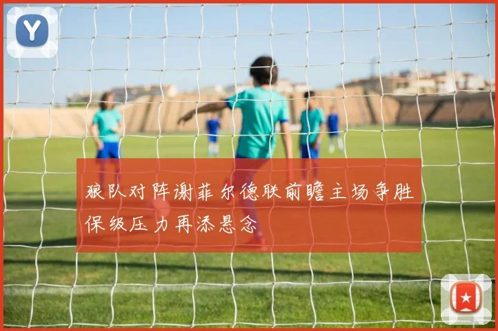 狼队对阵谢菲尔德联前瞻主场争胜保级压力再添悬念