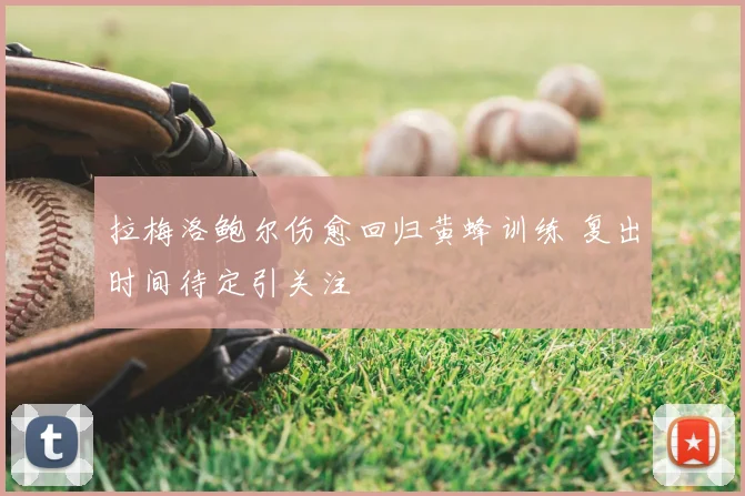 拉梅洛鲍尔伤愈回归黄蜂训练 复出时间待定引关注