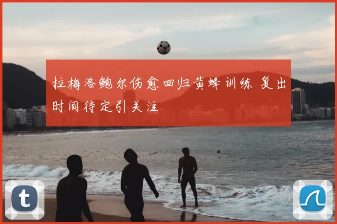 拉梅洛鲍尔伤愈回归黄蜂训练 复出时间待定引关注