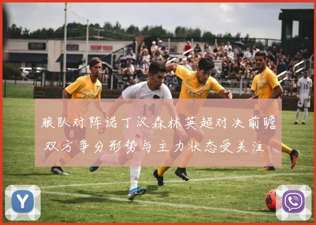 狼队对阵诺丁汉森林英超对决前瞻 双方争分形势与主力状态受关注