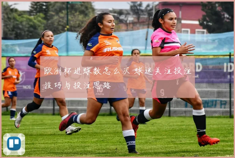 欧洲杯进球数怎么买 球迷关注投注技巧与投注思路