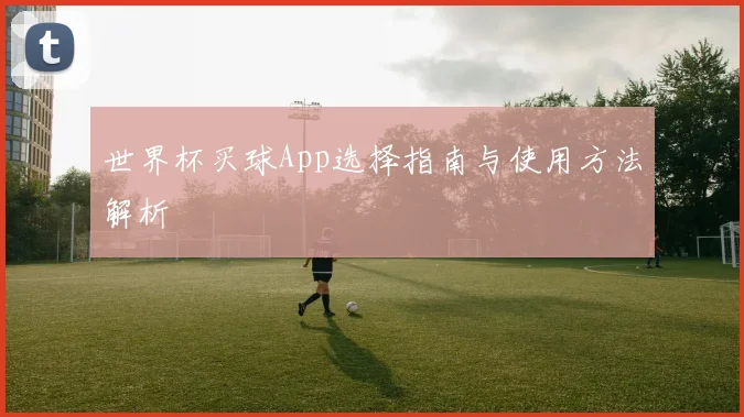 世界杯买球App选择指南与使用方法解析