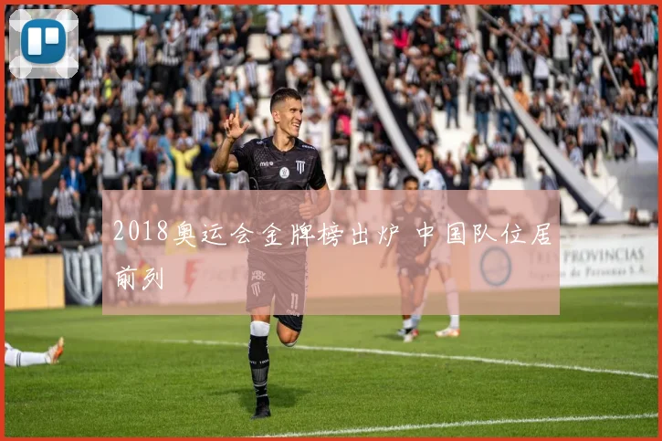 2018奥运会金牌榜出炉 中国队位居前列