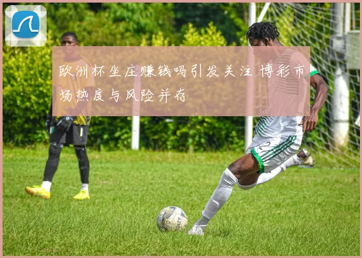 欧洲杯坐庄赚钱吗引发关注 博彩市场热度与风险并存