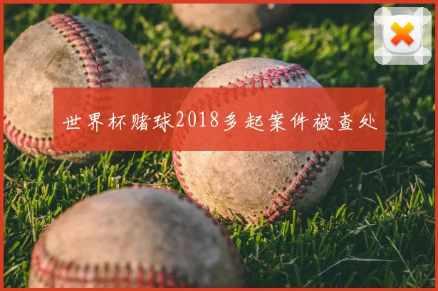 世界杯赌球2018多起案件被查处