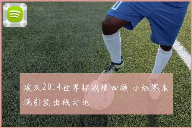 埃及2014世界杯战绩回顾 小组赛表现引发出线讨论
