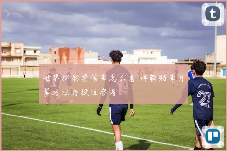 世界杯彩票倍率怎么看 详解赔率计算方法与投注参考